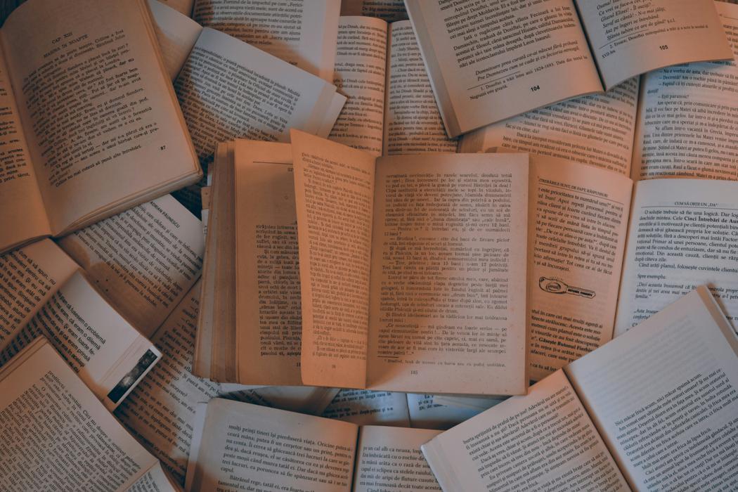 Philosophical Review of the Book “November in Paris”